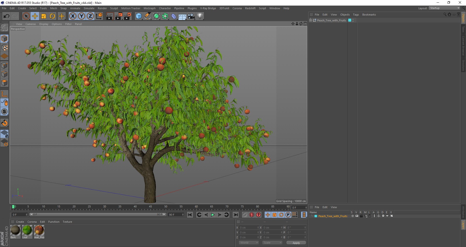 3D peach tree fruits https://p.turbosquid.com/ts-thumb/pS/12QXtD/ENxR2vsg/peachtreewithfruits3dsmodel021/jpg/1581555881/1920x1080/fit_q87/f9303b087ad3ac998a11bde2765997bc12f2c860/peachtreewithfruits3dsmodel021.jpg