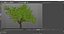 Peach Tree with Fruits