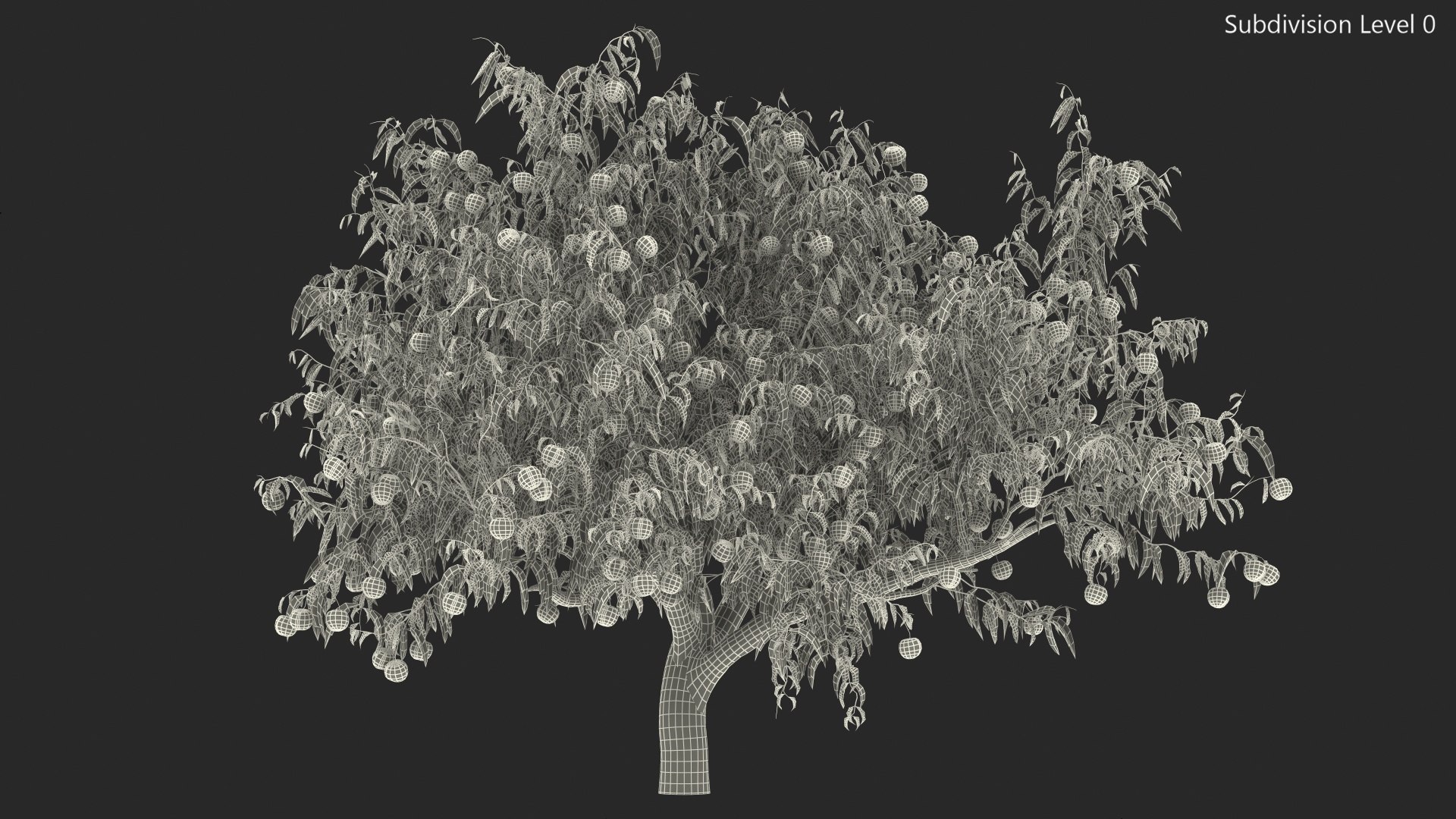 3D peach tree fruits https://p.turbosquid.com/ts-thumb/pS/12QXtD/Fr8jDxcl/peachtreewithfruits3dsmodel014/jpg/1581555840/1920x1080/fit_q87/f946063d674773e6ab2eb08d455495a09b0e0874/peachtreewithfruits3dsmodel014.jpg