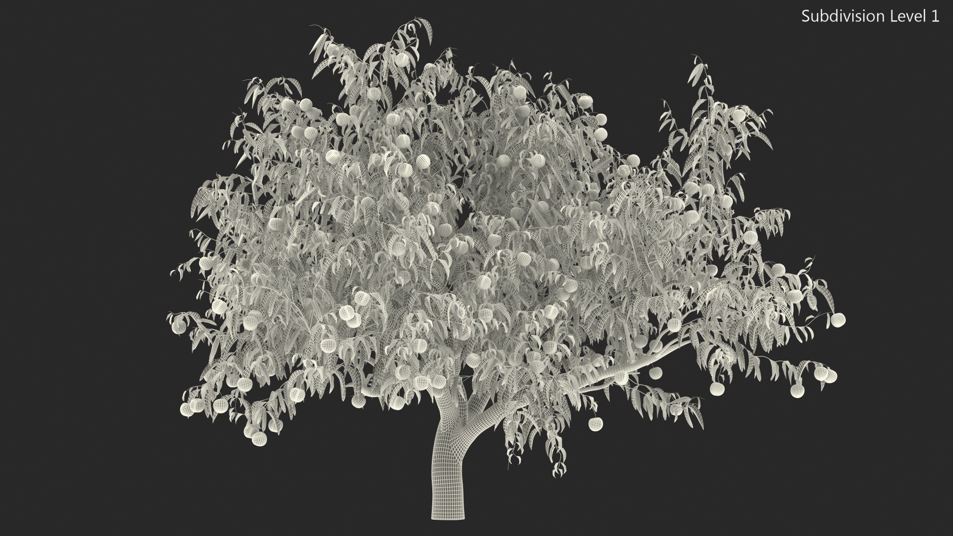3D peach tree fruits https://p.turbosquid.com/ts-thumb/pS/12QXtD/ZjhpkkQc/peachtreewithfruits3dsmodel015/jpg/1581555846/1920x1080/fit_q87/881e714683eef4b2f43c30b7f1247abd5034a81a/peachtreewithfruits3dsmodel015.jpg