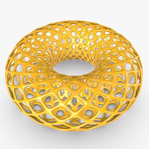 Torus Skeleton Network