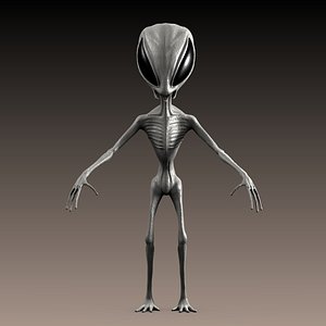 Alien grey insect