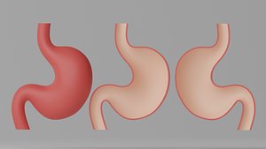 Cartoon Stomach Stylized
