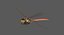 Dragonfly Common Darter