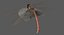 Dragonfly Common Darter