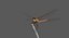 Dragonfly Common Darter