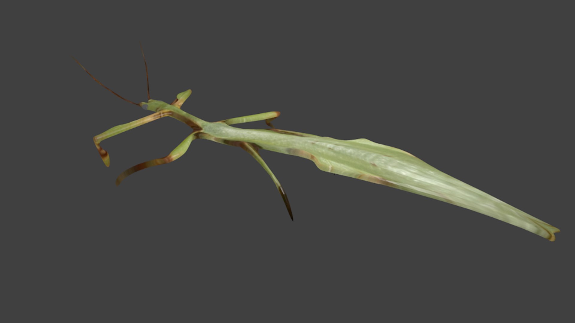 blend beetle leaf https://p.turbosquid.com/ts-thumb/pS/T6eiki/58ZHMgJL/untitled4/png/1448477077/1920x1080/fit_q87/34413742405e6e0d9c1d82e17569d082281643e5/untitled4.jpg
