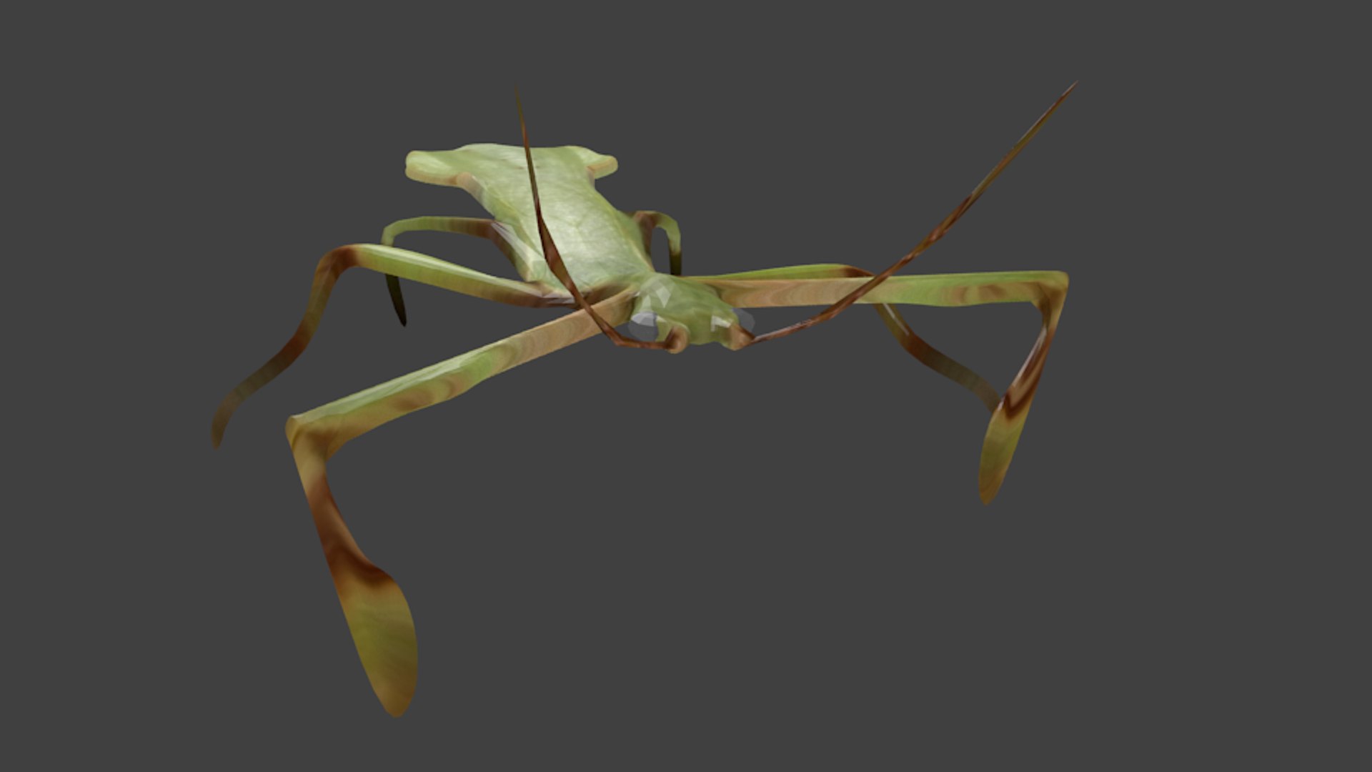 blend beetle leaf https://p.turbosquid.com/ts-thumb/pS/T6eiki/lZLMwGpH/untitled2/png/1448477077/1920x1080/fit_q87/48efabcbc529045c7154e10274fab101e595ac4d/untitled2.jpg