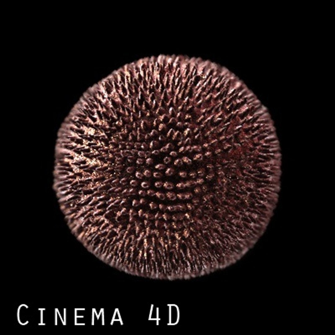 rubella virus max https://p.turbosquid.com/ts-thumb/pS/V1f786/CJoY1c4d/rubella/jpg/1274797241/1920x1080/fit_q87/5b9ba5f0db68846b8811b4cf98c8749f1c119fc2/rubella.jpg