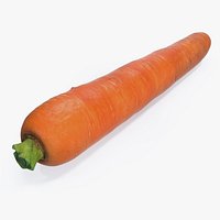 Carrot