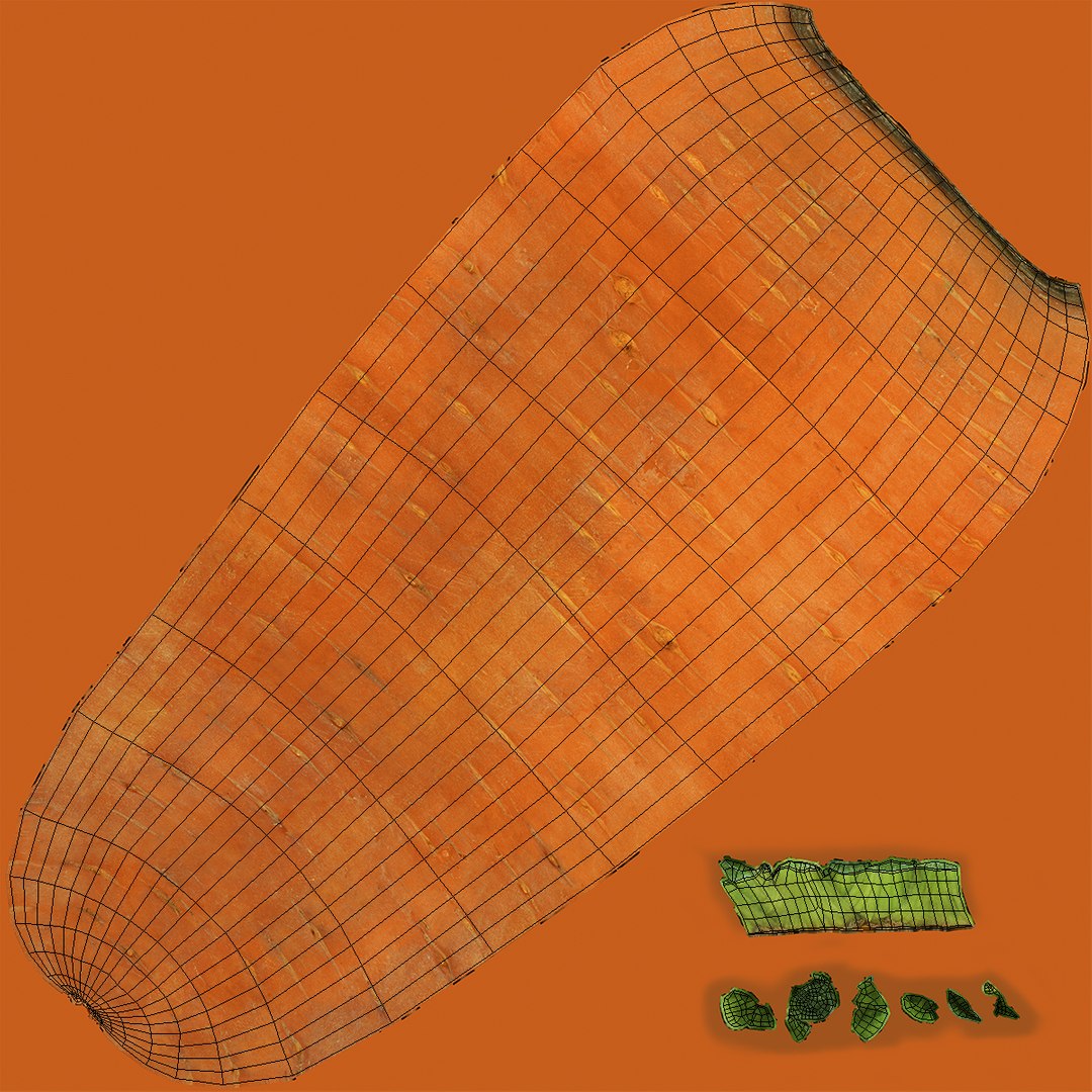 carrot realistic 3D https://p.turbosquid.com/ts-thumb/pS/XKF0Hq/VOwb6hfi/carrot_0007/jpg/1508883700/1920x1080/fit_q87/1aaba0980fdd41973fbb13b92797a1a0365c5b46/carrot_0007.jpg