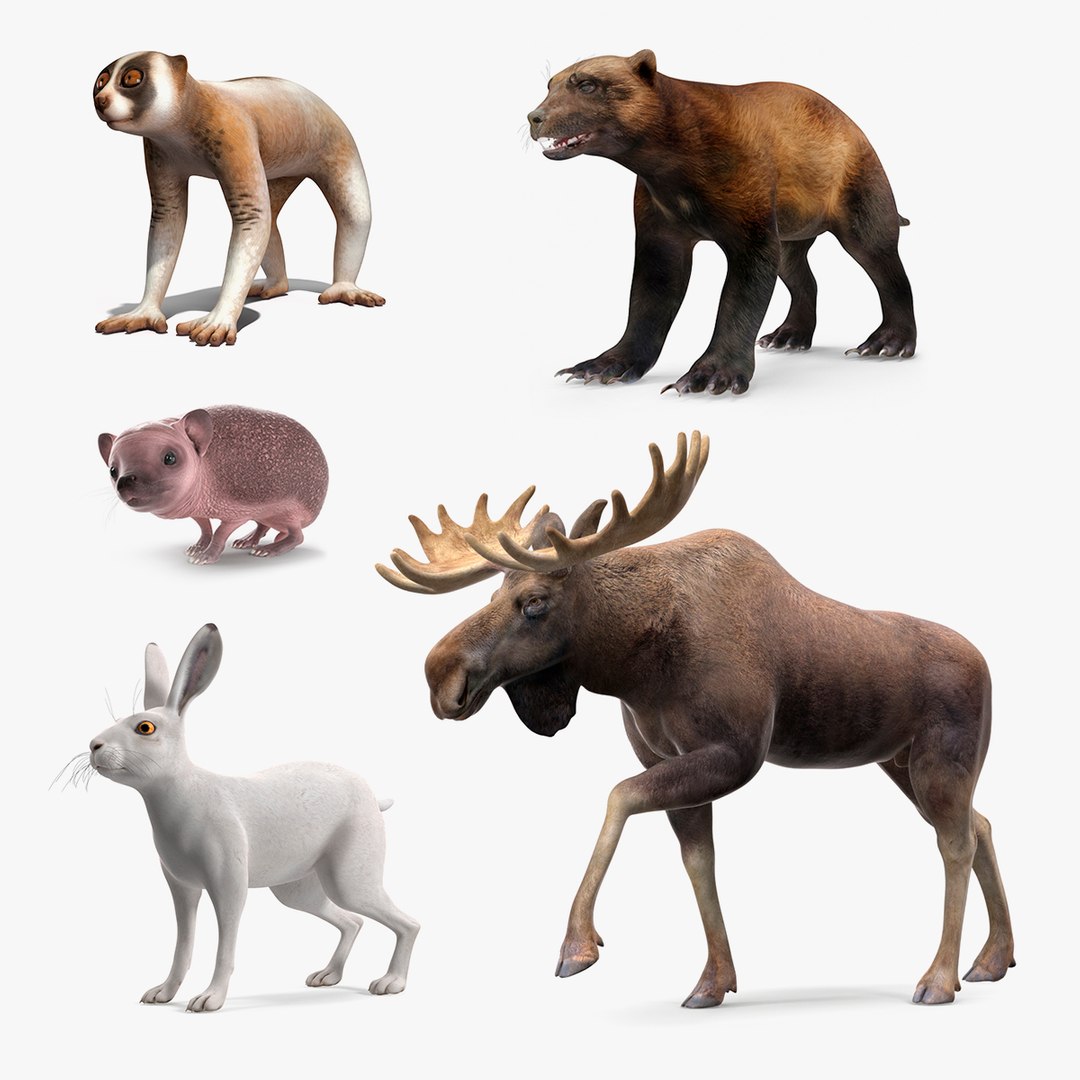 Land Mammals Collection 3 3D model preview
