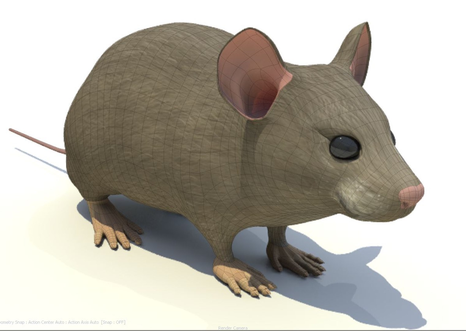 3d Model Mouse