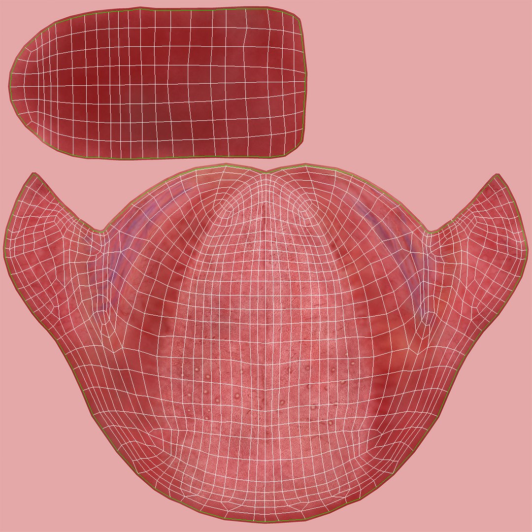 3D model Realistic Human Tongue Rig Maya https://p.turbosquid.com/ts-thumb/pS/chkMz8/pC/tongue_uv/jpg/1651854296/1920x1080/fit_q87/44016dcdfe9aea5bfaa187f4b4e244e02d8c7ead/tongue_uv.jpg
