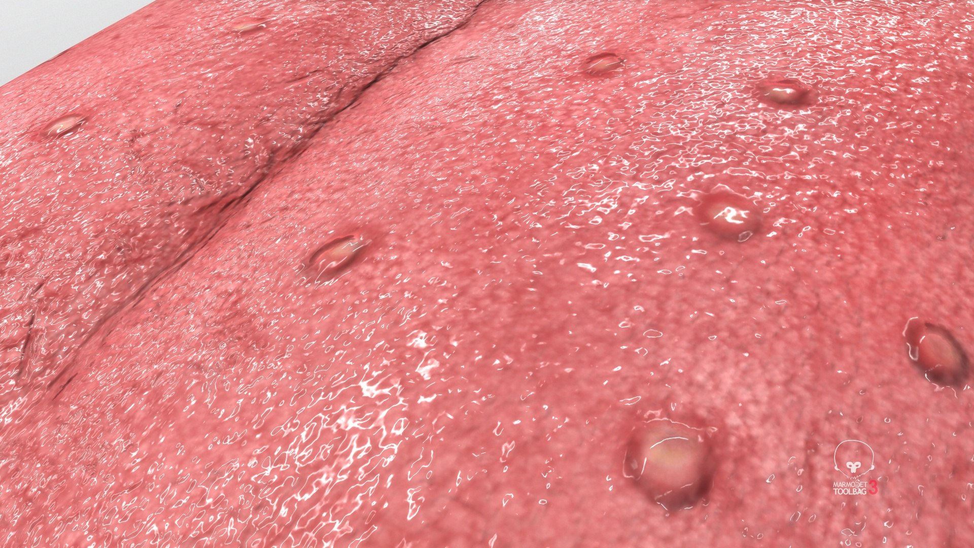 3D model Realistic Human Tongue Rig Maya https://p.turbosquid.com/ts-thumb/pS/chkMz8/ym/screenshot007/jpg/1651854060/1920x1080/fit_q87/675e1a756c63e6ae34d232f9314cad9249998e44/screenshot007.jpg