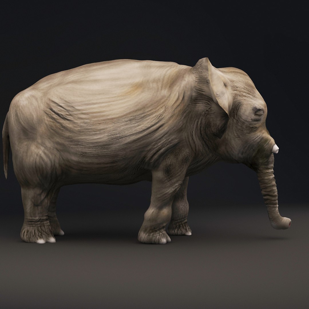 Elephant 3D model | 1143201 | TurboSquid