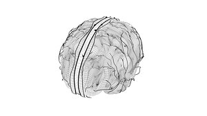 3D Arterial System  Brain II Human System model