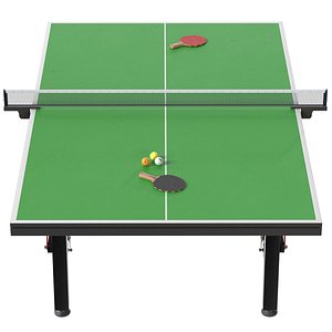 3D Table tennis paddle ping pong ball