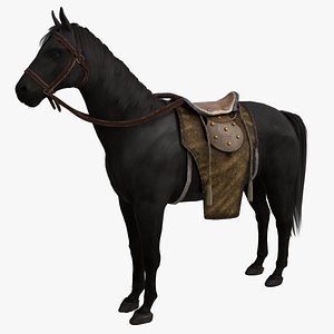 Rigged black horse with ornate saddle