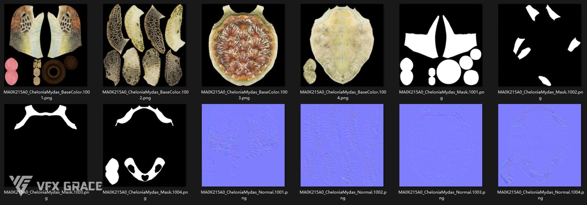 Green Sea Turtle Chelonia Mydas - Rigged  Animated  Maya Arnold model https://p.turbosquid.com/ts-thumb/pT/OQ3uEy/Dq/cheloniamydas_uv02/jpg/1770564095/1920x1080/fit_q87/d5675d15e90b2f6f1cf2a9fb02af75b554de23ce/cheloniamydas_uv02.jpg