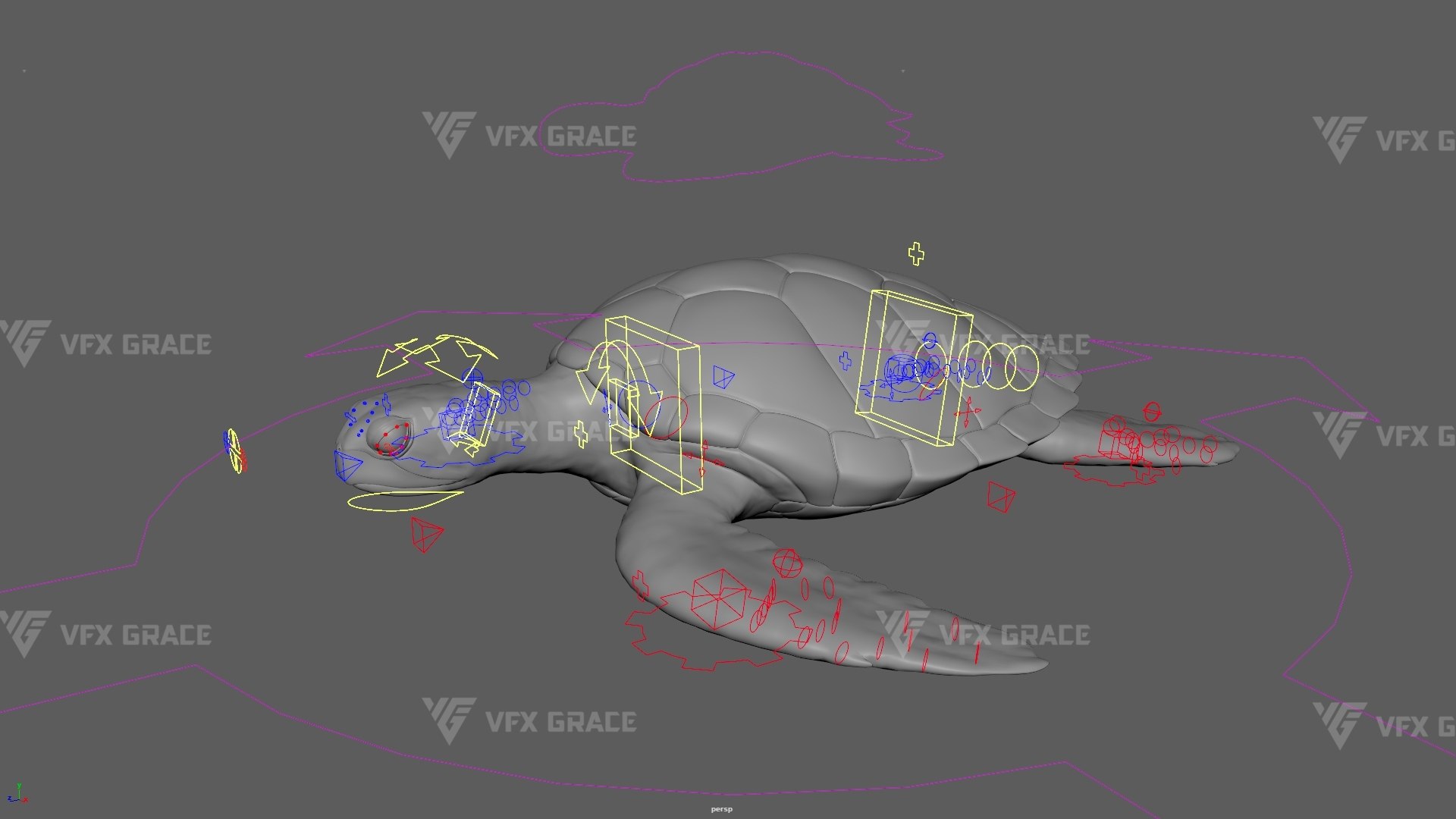 Green Sea Turtle Chelonia Mydas - Rigged  Animated  Maya Arnold model https://p.turbosquid.com/ts-thumb/pT/OQ3uEy/IM/cheloniamydas_rig01/jpg/1770564291/1920x1080/fit_q87/056bb91c0901b3d241505bb4bbb12304263dbd2b/cheloniamydas_rig01.jpg