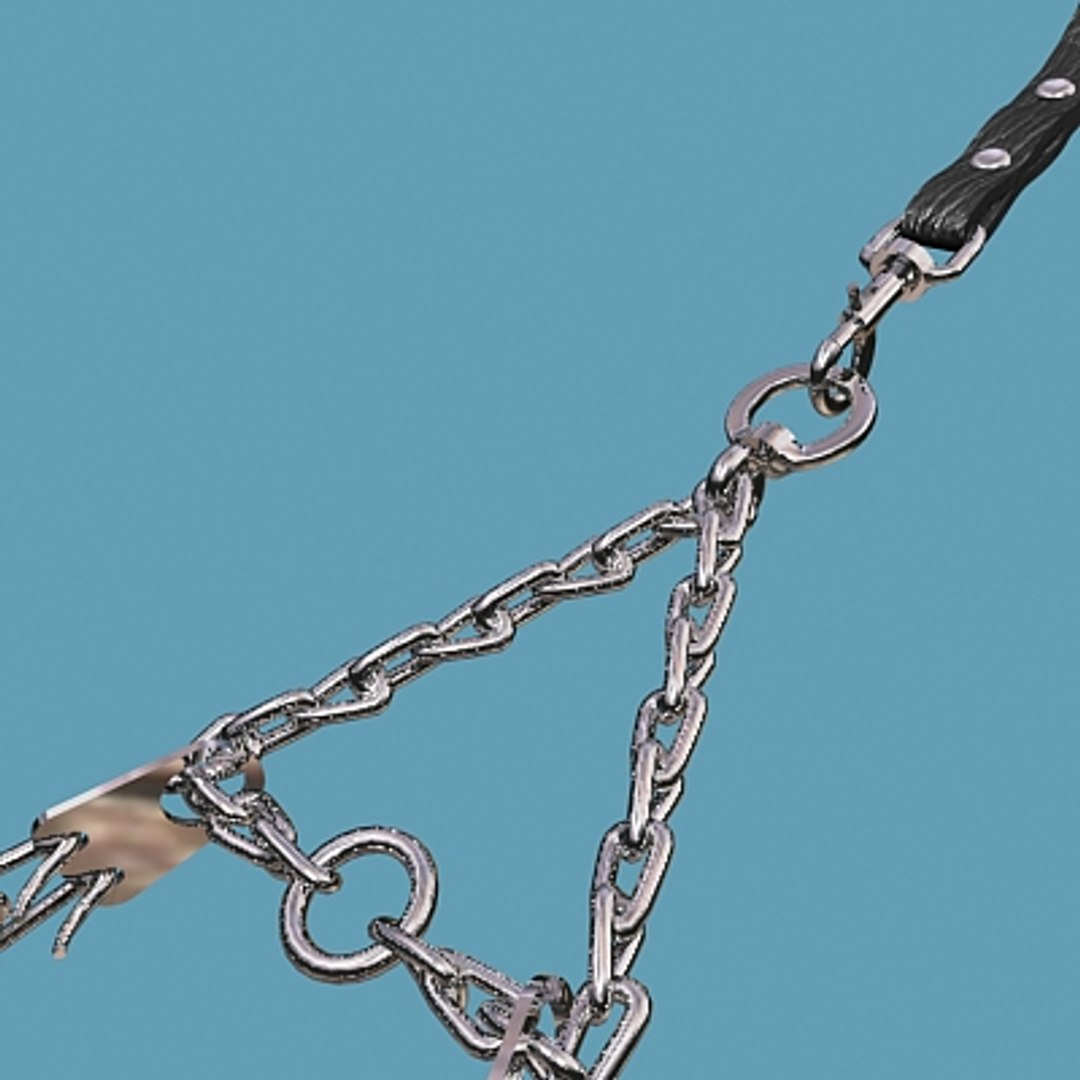 Dog Pinch Leash Max
