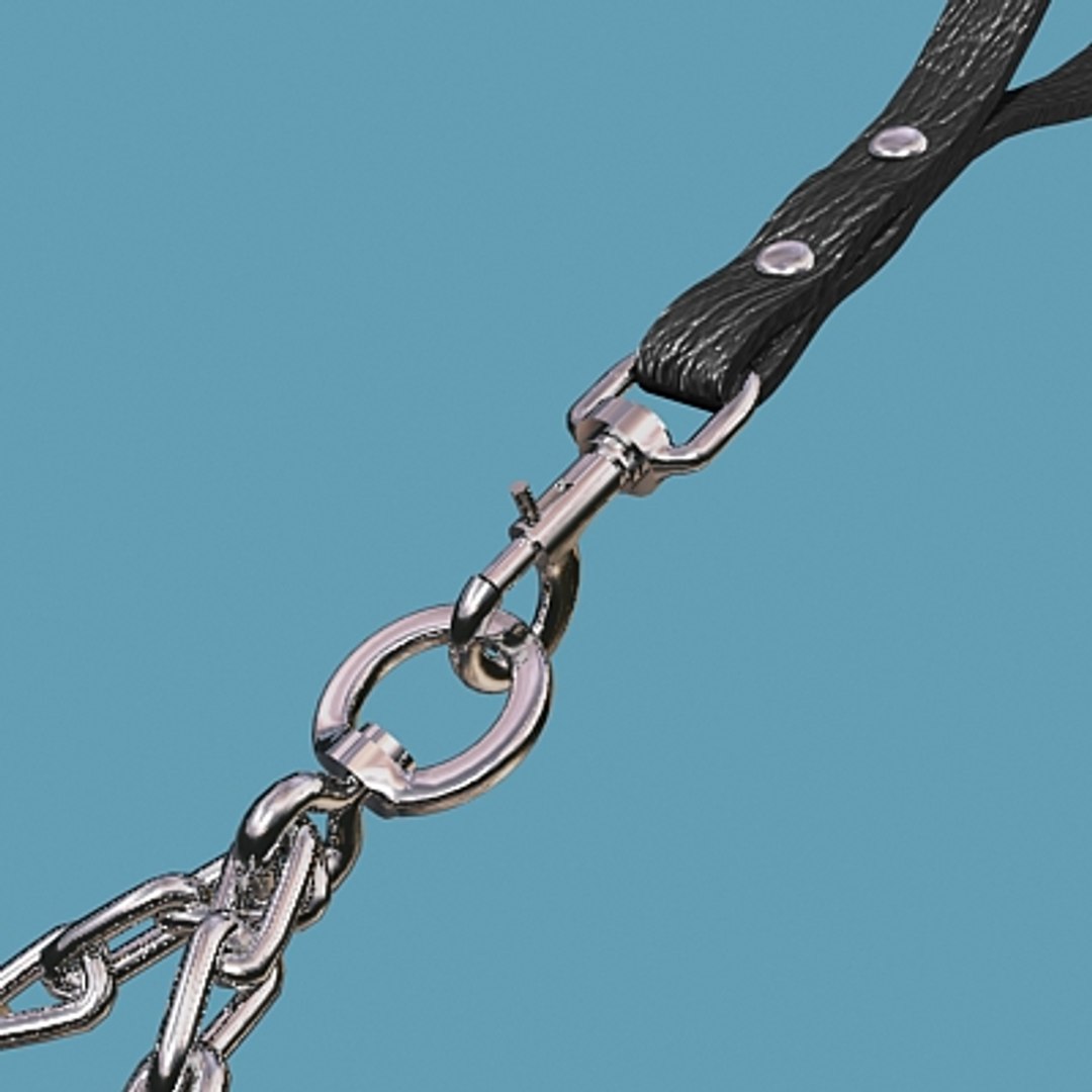 Dog Pinch Leash Max