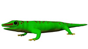 madagascar day gecko 3d model