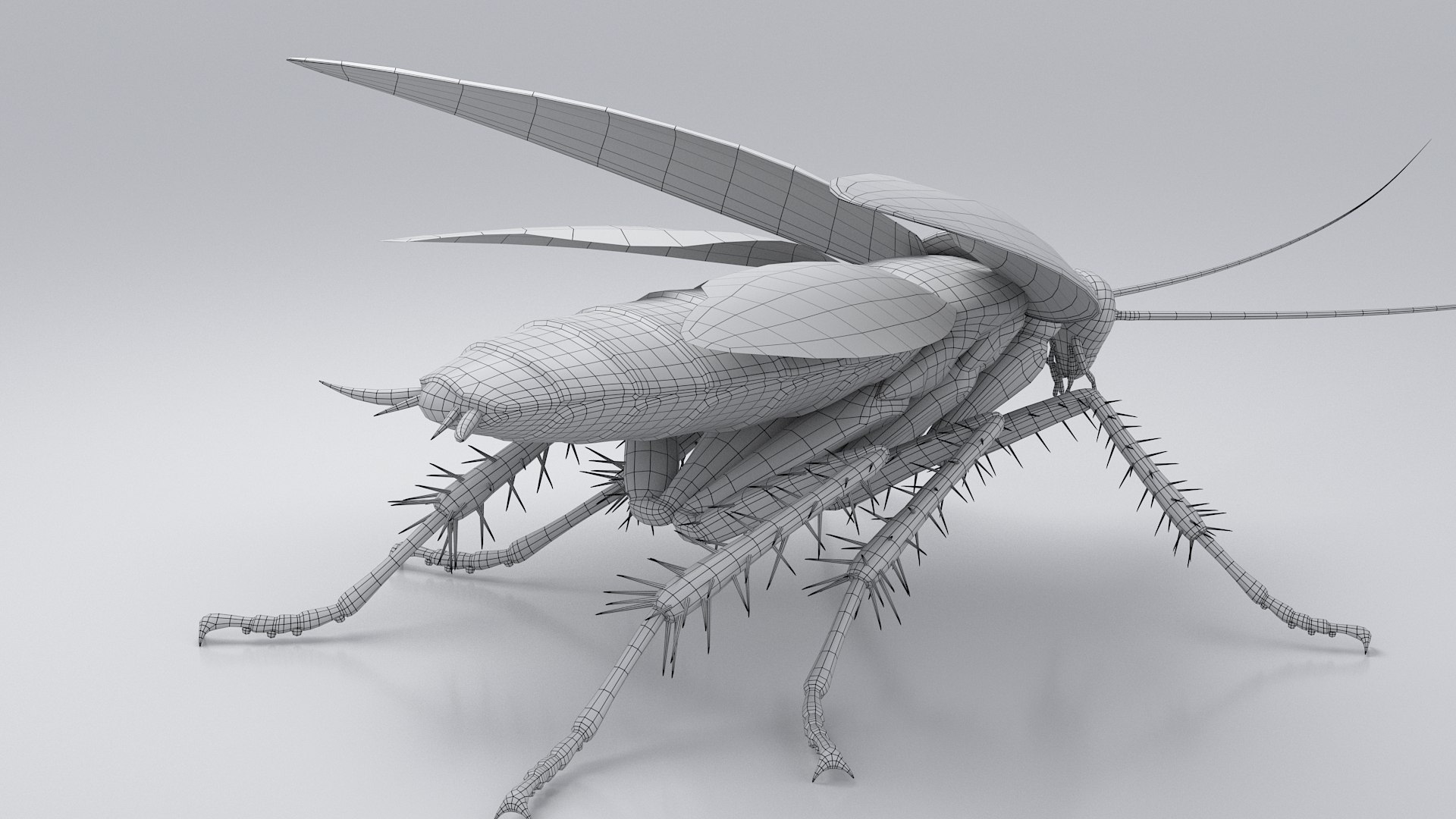3D Realistic Cockroach Rigged model https://p.turbosquid.com/ts-thumb/pT/VDjMqg/4q/cockroach_rigged_27/jpg/1706357554/1920x1080/fit_q87/8edcd7a1a7081507d232e590cec032943aaa64e7/cockroach_rigged_27.jpg
