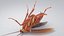 3D Realistic Cockroach Rigged model