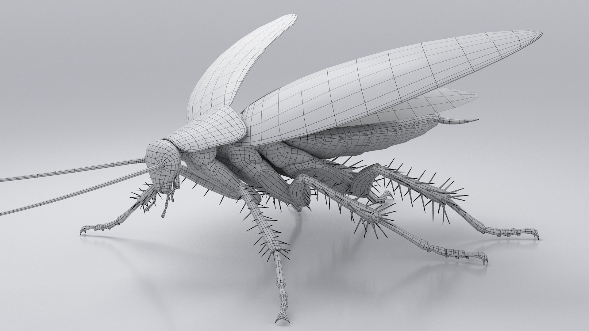 3D Realistic Cockroach Rigged model https://p.turbosquid.com/ts-thumb/pT/VDjMqg/8P/cockroach_rigged_23/jpg/1706357530/1920x1080/fit_q87/7070c07d8d0a94beff55983e1f95df91ba841c8b/cockroach_rigged_23.jpg