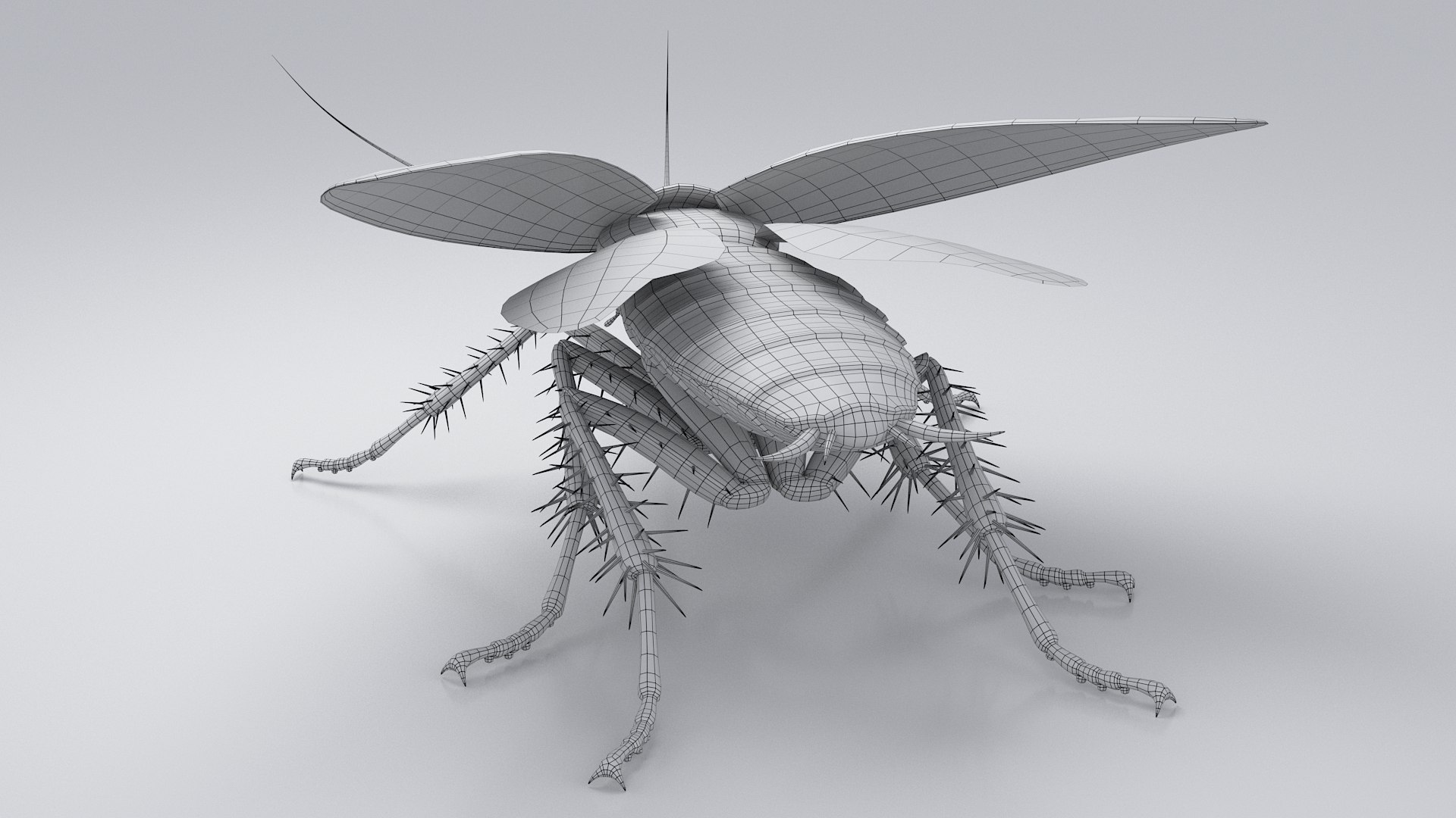 3D Realistic Cockroach Rigged model https://p.turbosquid.com/ts-thumb/pT/VDjMqg/9i/cockroach_rigged_28/jpg/1706357560/1920x1080/fit_q87/8d204ce7c2496aa334ba76143d7fe8d47d47a531/cockroach_rigged_28.jpg