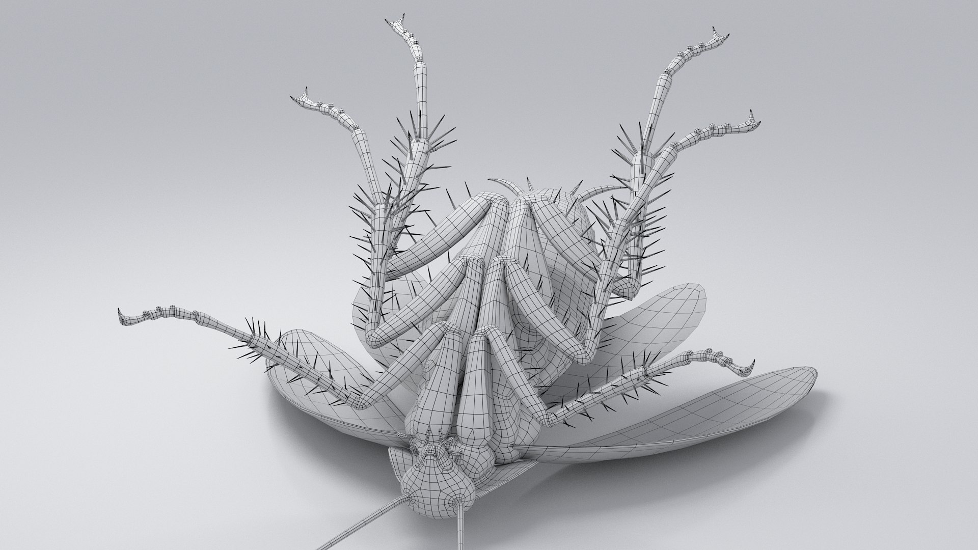 3D Realistic Cockroach Rigged model https://p.turbosquid.com/ts-thumb/pT/VDjMqg/BR/cockroach_rigged_33/jpg/1706357587/1920x1080/fit_q87/08d8d236d3e8435cb37134743d373555b1d058b1/cockroach_rigged_33.jpg