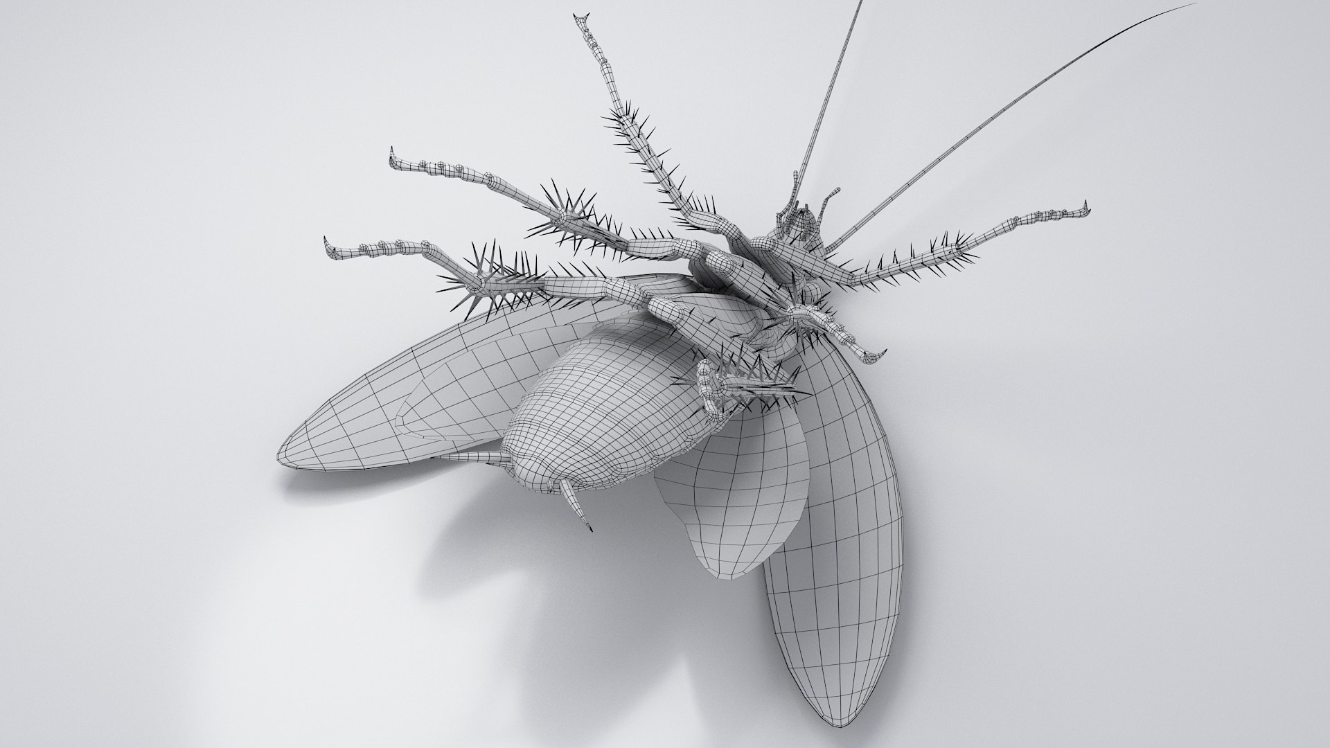 3D Realistic Cockroach Rigged model https://p.turbosquid.com/ts-thumb/pT/VDjMqg/CC/cockroach_rigged_36/jpg/1706357604/1920x1080/fit_q87/bdf7e2ea2f5d4ec9fb3fb258fd442f78b8415b18/cockroach_rigged_36.jpg