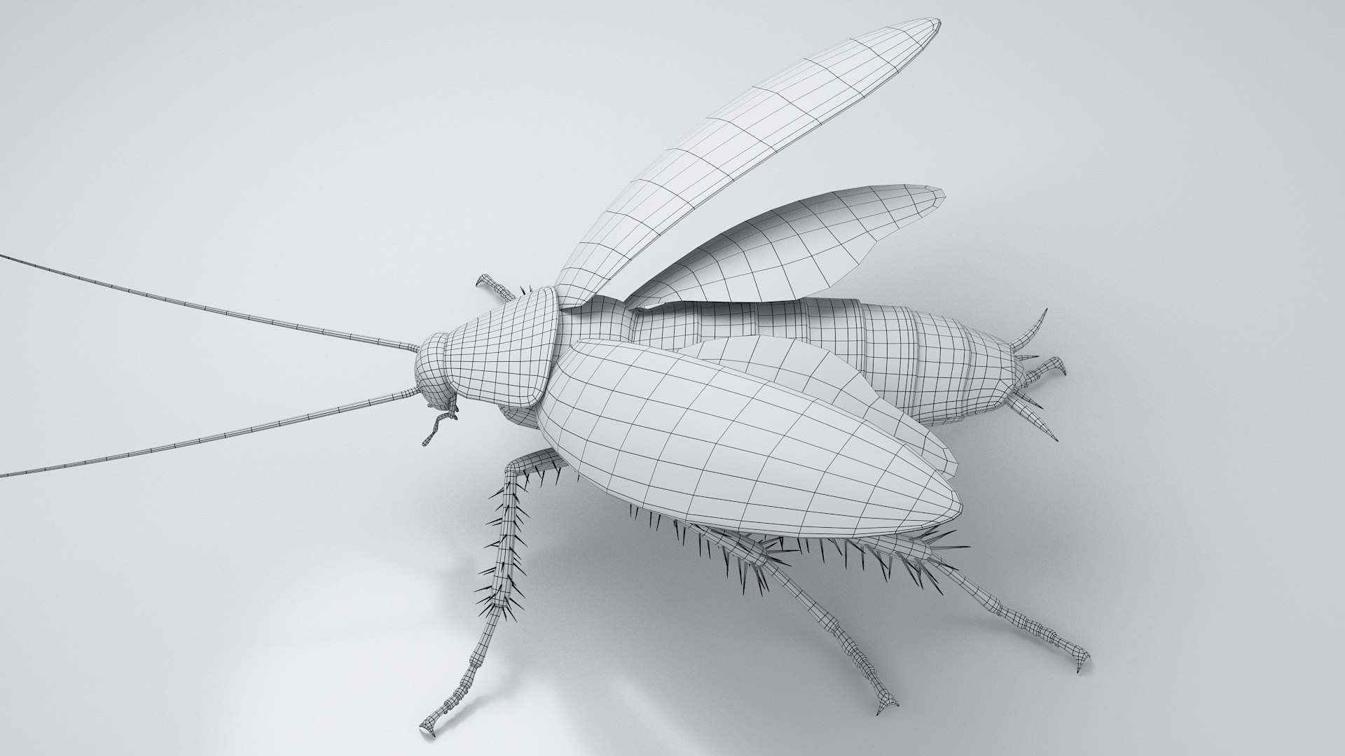3D Realistic Cockroach Rigged model https://p.turbosquid.com/ts-thumb/pT/VDjMqg/DC/cockroach_rigged_30/jpg/1706357567/1920x1080/fit_q87/f7979e9e1f02b7ca7a10c708569371abb890bb03/cockroach_rigged_30.jpg