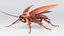 3D Realistic Cockroach Rigged model