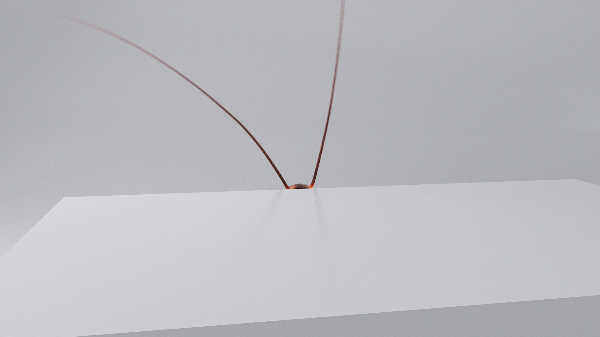 3D Realistic Cockroach Rigged model https://p.turbosquid.com/ts-thumb/pT/VDjMqg/Kb/cockroachanimthree/jpg/1706361321/1920x1080/turn_fit_q99/84b847e829678f217a3bba45edd2fb25c9da9948/cockroachanimthree-1.jpg