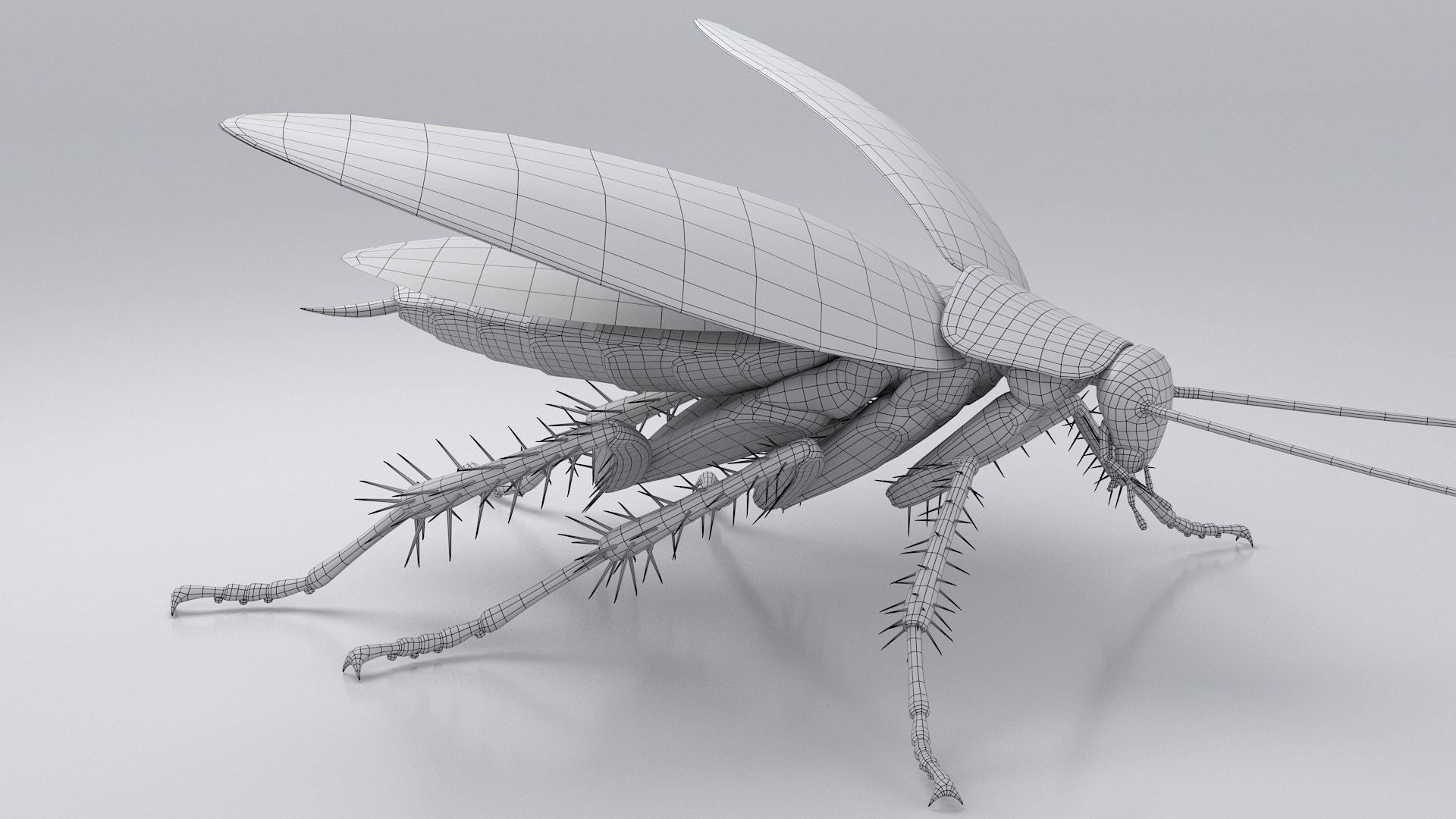 3D Realistic Cockroach Rigged model https://p.turbosquid.com/ts-thumb/pT/VDjMqg/TQ/cockroach_rigged_26/jpg/1706357545/1920x1080/fit_q87/47d36edc908ca55b311ad8071fb9686ebd305b97/cockroach_rigged_26.jpg