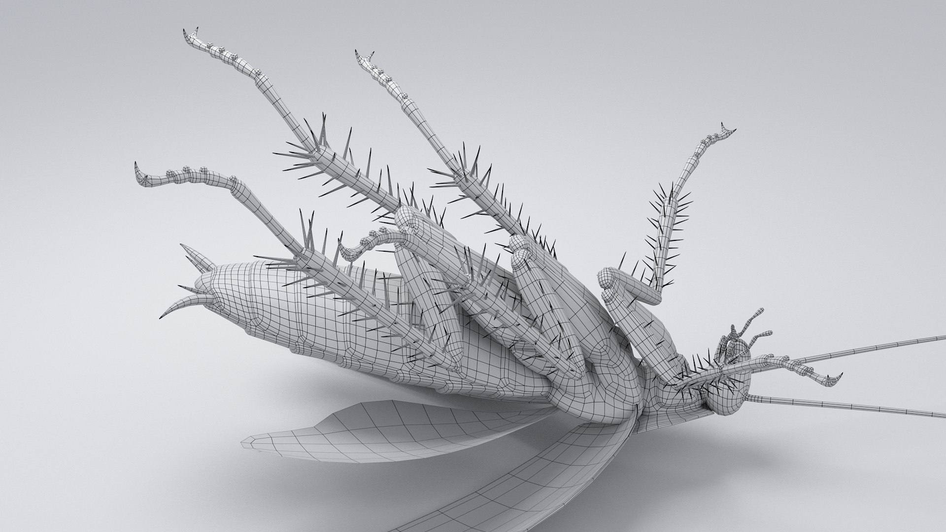 3D Realistic Cockroach Rigged model https://p.turbosquid.com/ts-thumb/pT/VDjMqg/UE/cockroach_rigged_35/jpg/1706357588/1920x1080/fit_q87/b46b68361088ea0523841d064c1a13f4f9289431/cockroach_rigged_35.jpg