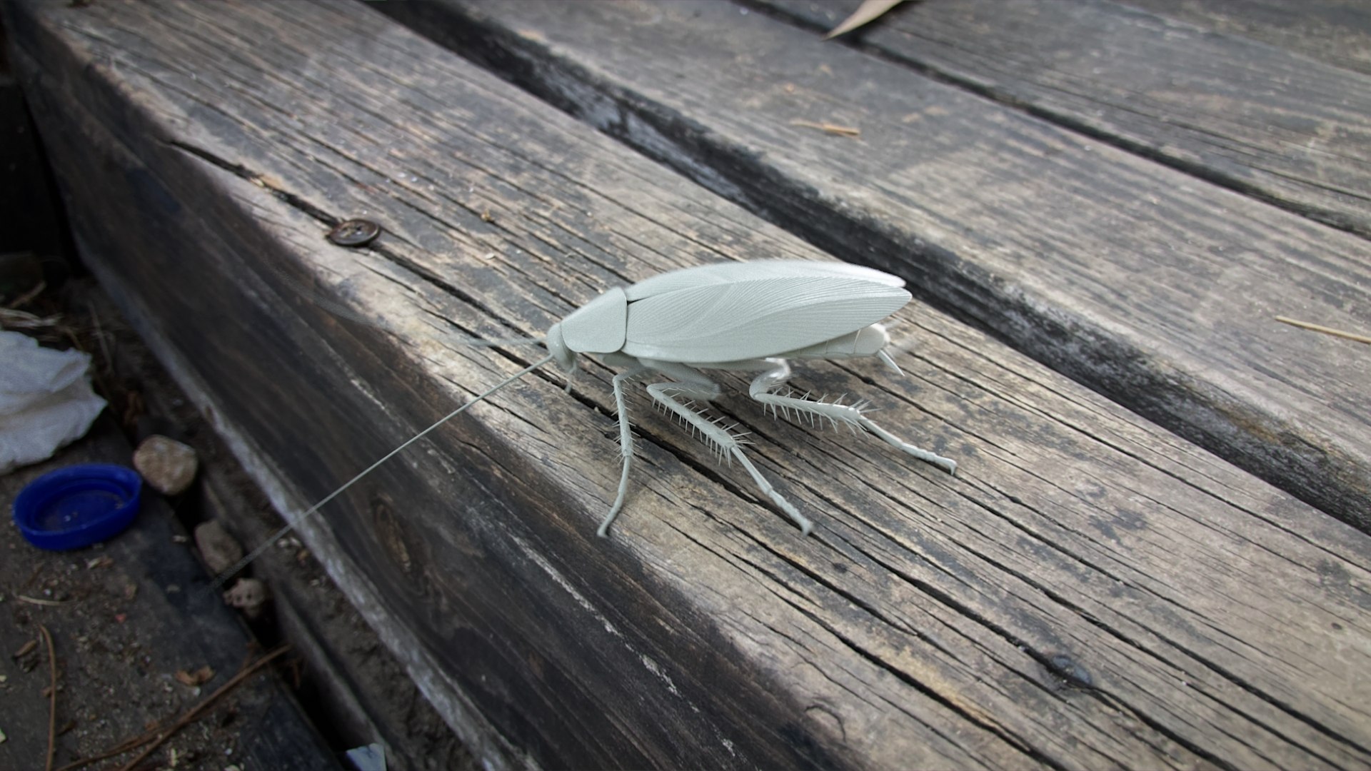 3D Realistic Cockroach Rigged model https://p.turbosquid.com/ts-thumb/pT/VDjMqg/Yj/cockroach_scene_01_clay/jpg/1721899409/1920x1080/fit_q87/4f3981ec4630261574702b5d7f5659c407ee53ff/cockroach_scene_01_clay.jpg