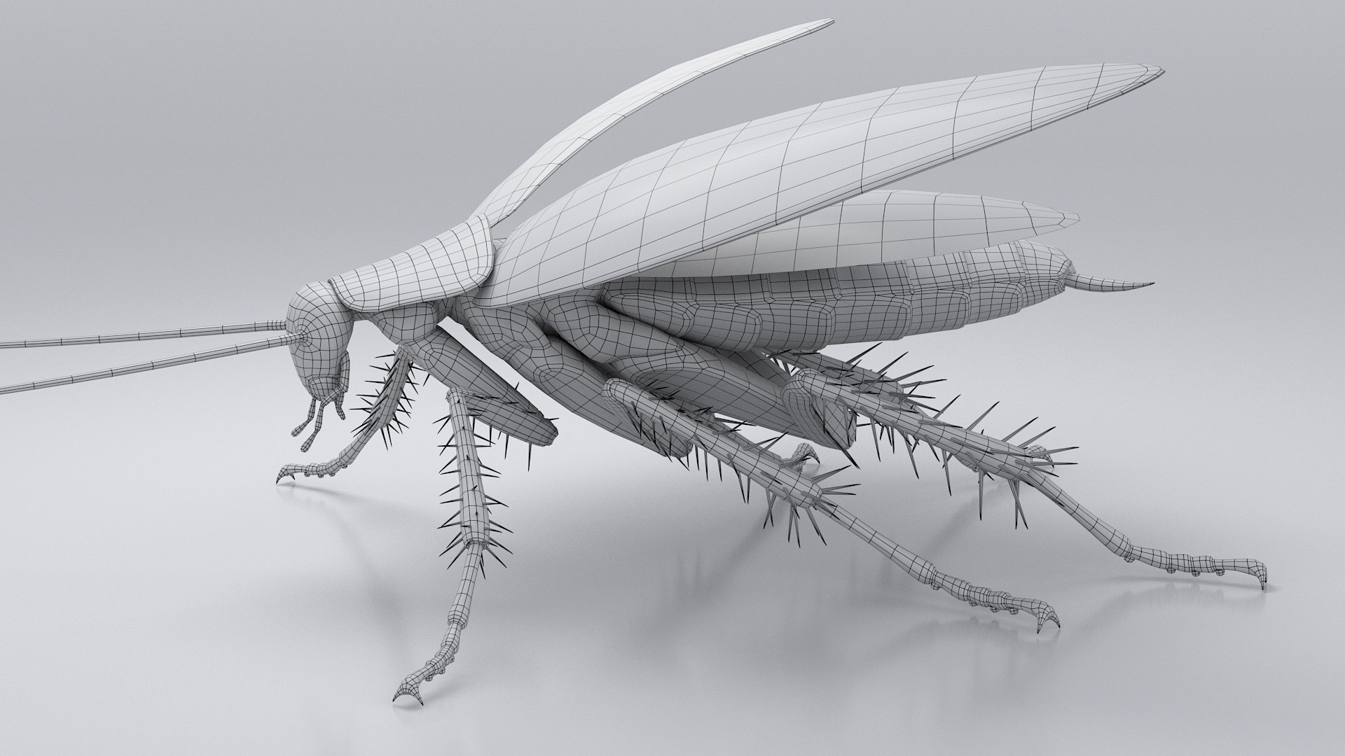 3D Realistic Cockroach Rigged model https://p.turbosquid.com/ts-thumb/pT/VDjMqg/aj/cockroach_rigged_22/jpg/1706357529/1920x1080/fit_q87/8779522721dd588fd881d604e8d83e766586eaea/cockroach_rigged_22.jpg