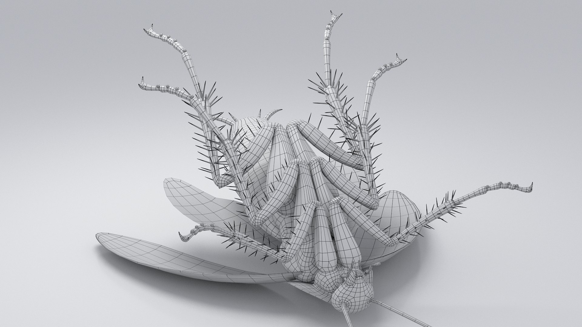 3D Realistic Cockroach Rigged model https://p.turbosquid.com/ts-thumb/pT/VDjMqg/ba/cockroach_rigged_34/jpg/1706357588/1920x1080/fit_q87/a94c6c196b1595065117022a104e2e4c17921ce1/cockroach_rigged_34.jpg