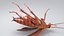 3D Realistic Cockroach Rigged model