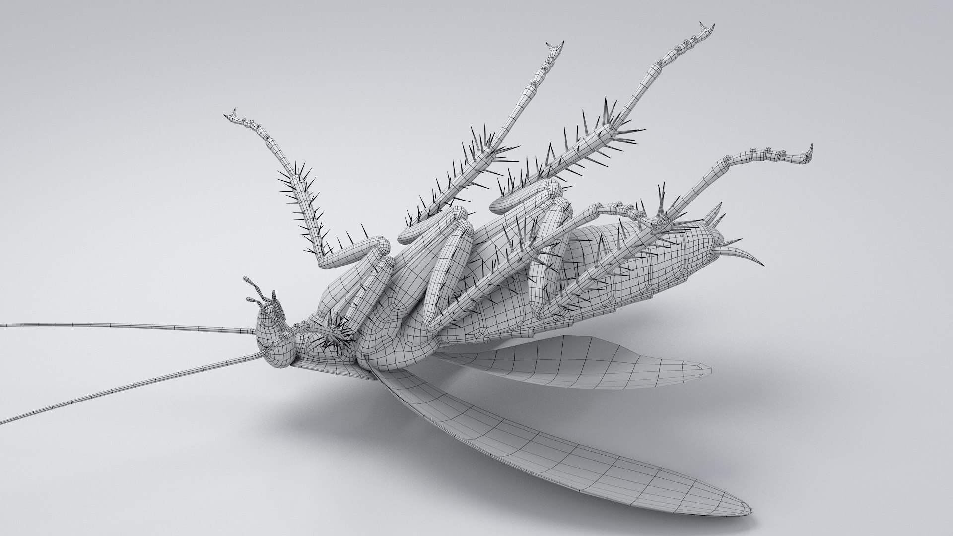 3D Realistic Cockroach Rigged model https://p.turbosquid.com/ts-thumb/pT/VDjMqg/k0/cockroach_rigged_31/jpg/1706357572/1920x1080/fit_q87/8d6164f604f0ddb9aede045cd2973b96b9ecf9c3/cockroach_rigged_31.jpg