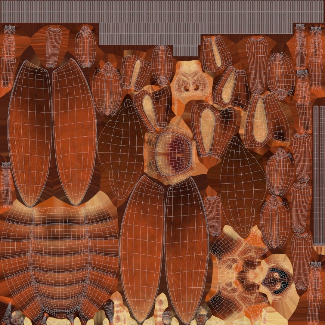 3D Realistic Cockroach Rigged model https://p.turbosquid.com/ts-thumb/pT/VDjMqg/l0/xuv_cockroach_basecolor/jpg/1706357633/1920x1080/fit_q87/e72bdf2e934ba43cb189e96b0d5f0c1fe04f8343/xuv_cockroach_basecolor.jpg