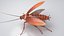 3D Realistic Cockroach Rigged model