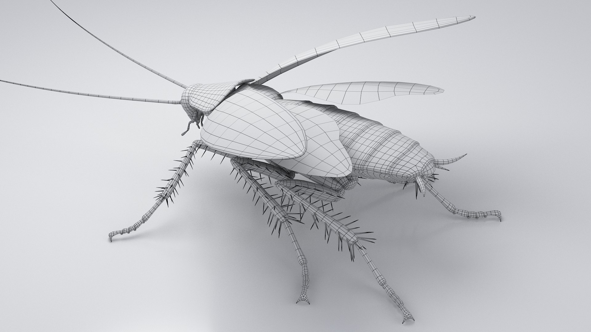3D Realistic Cockroach Rigged model https://p.turbosquid.com/ts-thumb/pT/VDjMqg/ot/cockroach_rigged_29/jpg/1706357558/1920x1080/fit_q87/aac404ab10a21ce5806cf5183b796f4abaa606f6/cockroach_rigged_29.jpg