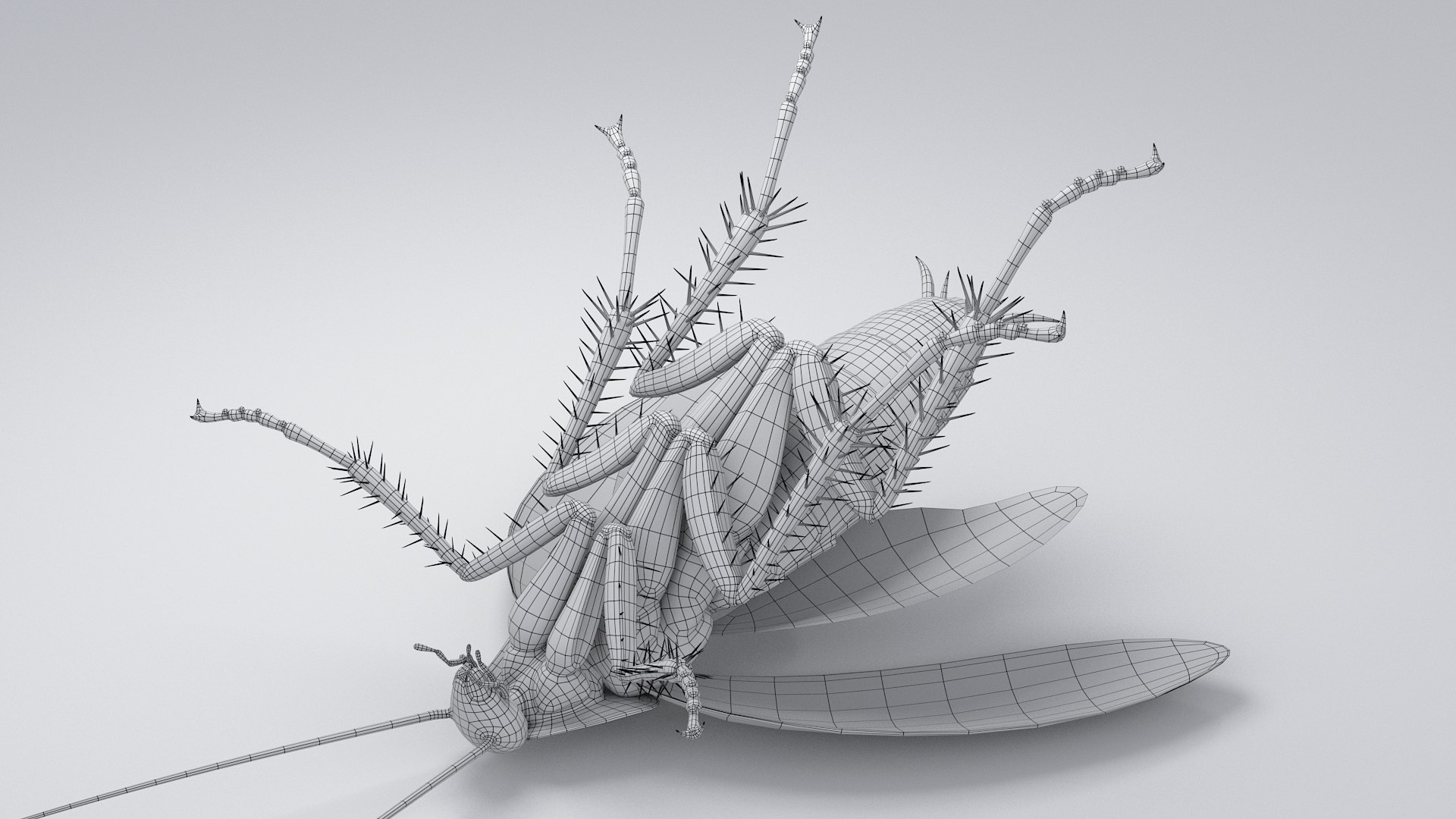 3D Realistic Cockroach Rigged model https://p.turbosquid.com/ts-thumb/pT/VDjMqg/rF/cockroach_rigged_39/jpg/1706357617/1920x1080/fit_q87/f9db79ccea602a050bb8edb7a979f99ac97f6184/cockroach_rigged_39.jpg
