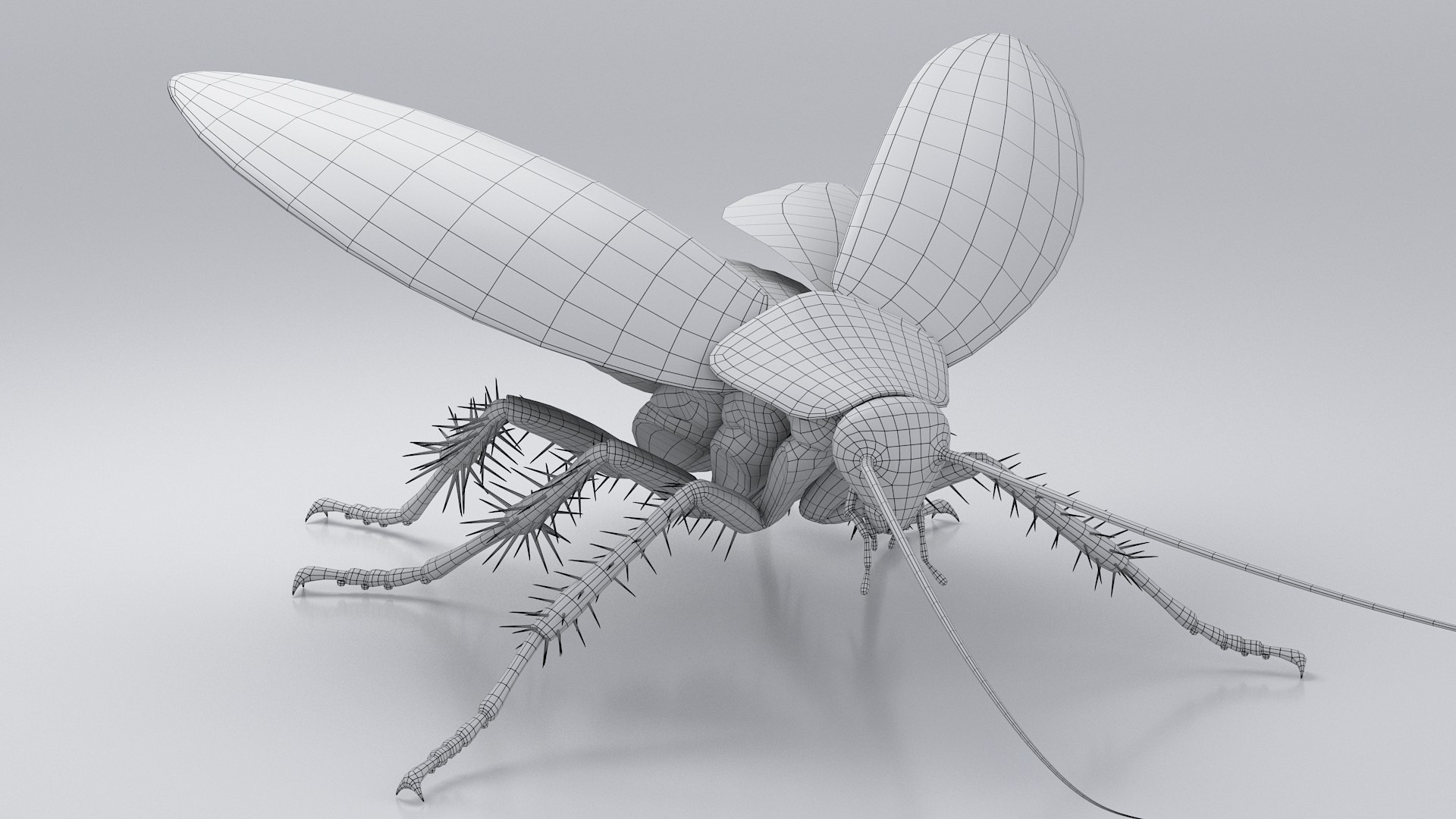 3D Realistic Cockroach Rigged model https://p.turbosquid.com/ts-thumb/pT/VDjMqg/sf/cockroach_rigged_25/jpg/1706357546/1920x1080/fit_q87/2672db1e1b06c47b7cace13d90b12ab32bd55577/cockroach_rigged_25.jpg