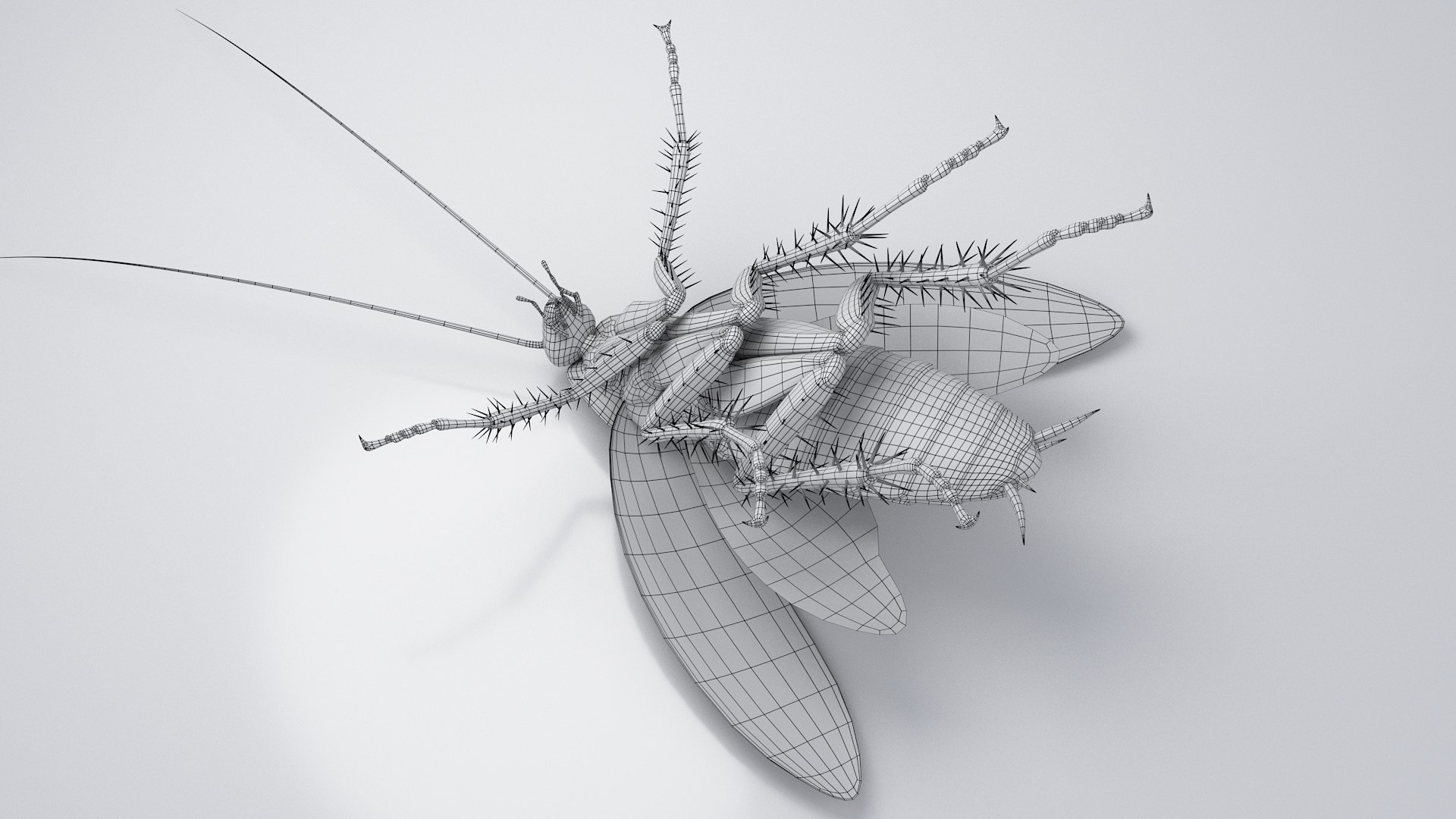 3D Realistic Cockroach Rigged model https://p.turbosquid.com/ts-thumb/pT/VDjMqg/xi/cockroach_rigged_38/jpg/1706357602/1920x1080/fit_q87/5975672acc1ef304dfa1bb44881199a6cc2be3da/cockroach_rigged_38.jpg